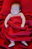 baby_in_red_sheets-01
